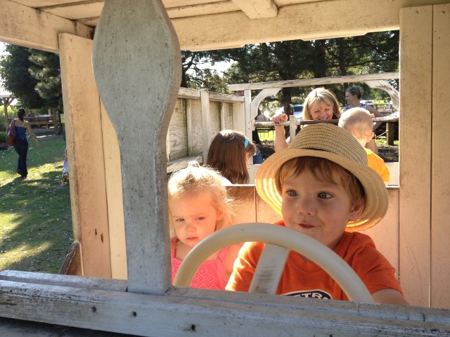 Lucas driving cow truck