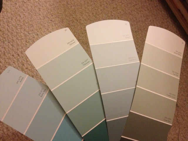 Paint Chips